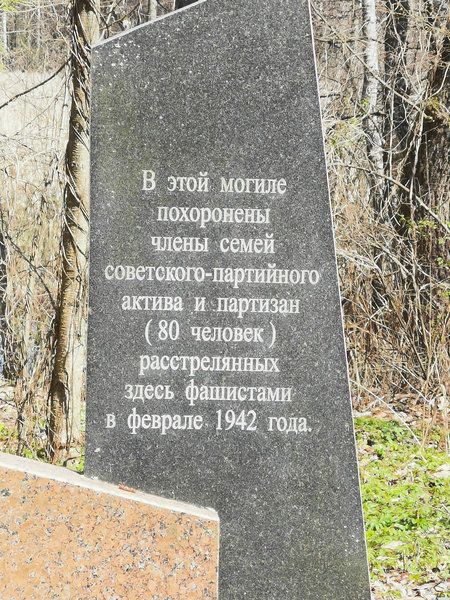 2025-04-11 256_ergebnis